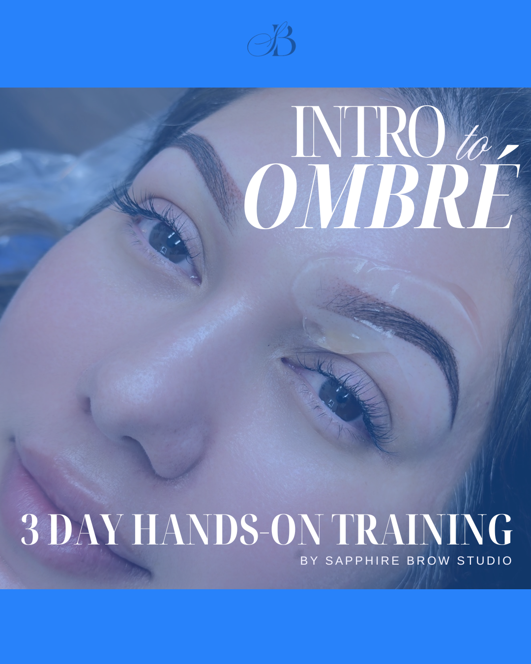 INTRO TO OMBRÉ BROWS (3 DAYS)
